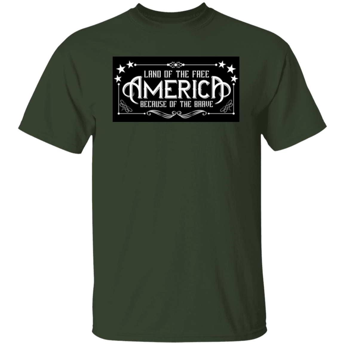 G500 5.3 oz. T-Shirt
